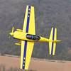 Image de Baptême de Voltige en Avion près de L'Isle-Adam
