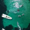 Image de Randonnée en Jet Ski à Propriano