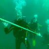Image de Initiation à la Plongée à Noirmoutier