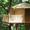 Image de Nuit en Cabane dans les Arbres près de Lyon