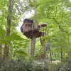 Image de Cabane dans les Arbres aux Garennes-sur-Loire