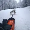 Image de Randonnée en Chiens de Traîneau à Hautacam