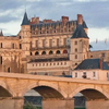 Image de Vol en Montgolfière - Survol Château d'Amboise