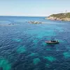 Image de Sortie en Mer à la rencontre des Dauphins et Baleines à Saint-Cyr