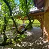 Image de Cabane dans les Arbres avec Spa privatif près de Laval