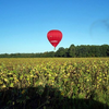 Image de Vol en montgolfière au Château de Saumur