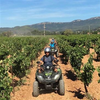 Image de Randonnée en Quad dans le Var à Cuers