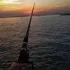 Image de Pêche au Gros à Marseillan