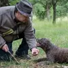 Image de Balade en 2CV et Découverte du Terroir en Bourgogne