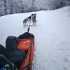 Image de Randonnée en Chiens de Traîneau à Barèges