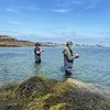 Image de Pêche Sportive à Carantec