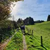 Image de Balade en Cani-Rando près de Thonon-les-Bains