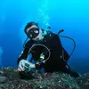 Image de Initiation à la Plongée à Carnac - Baie de Quiberon