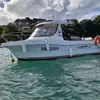 Image de Permis Bateau à Carantec près de Roscoff