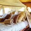 Image de Cabane dans les Arbres avec Spa près du Touquet