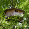 Image de Cabane dans les Arbres à Savigny près de Saint-Lô