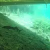 Image de Baptême de Plongée près de Strasbourg