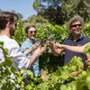 Image de Journée  notouristique à Saint Emilion