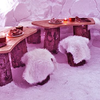 Image de Diner dans un Igloo aux Arcs