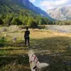 Image de Balade en Cani-Rando près de Barcelonnette