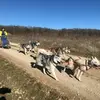 Image de Randonnée en Cani-kart près de Troyes