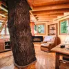 Image de Cabane dans les Arbres avec Spa près de Dinan