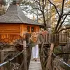 Image de Cabane dans les Arbres avec Spa à Serres