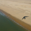 Image de Baptême en ULM Pendulaire à Royan - Côte Sauvage