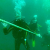 Image de Baptême de Plongée à Noirmoutier