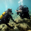 Image de Baptême de Plongée au Cap Cerbère près de Banyuls-sur-Mer