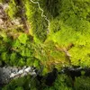 Image de Saut à l'élastique à Saint-Gervais face au Mont-Blanc