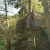 Image de Cabane dans les arbres dans les Monts d'Ardèche