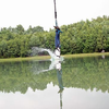Image de Saut à l'élastique avec touché d'eau à Epinal