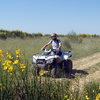 Image de Randonnée en Quad près d'Avignon