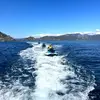 Image de Randonnée en Jet Ski aux Iles Sanguinaires à Ajaccio