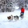 Image de Randonnée en Chiens de Traîneau à Mont-Saxonnex