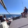 Image de Demi-journée d'Initiation à la Voile dans le Golfe du Morbihan