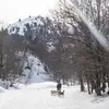 Image de Randonnée en Chiens de Traîneau à La Pierre Saint-Martin