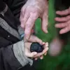 Image de Atelier Dégustation de Truffes près de Bollène