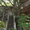 Image de Cabane dans les Arbres à Sexcles