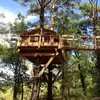 Image de Nuit en Cabane dans les Arbres près de Digne-les-Bains