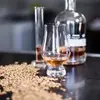 Image de Atelier Dégustation de Whisky à Rennes Ouest