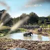 Image de Dormir avec les Éléphants au Zoo de Thoiry