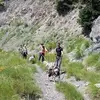 Image de Balade en Cani-rando à Auron
