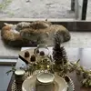 Image de Dormir avec les Jaguars au Zoo de Bordeaux-Pessac