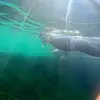 Image de Randonnée Palmée à Martigues