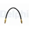 Image de Flexible de frein DELPHI LH6169