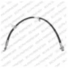 Image de Flexible de frein DELPHI LH6696, droite