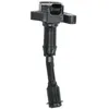 Image de Bobine d'allumage DELPHI GN10645-12B1
