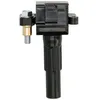 Image de Bobine d'allumage DELPHI GN10698